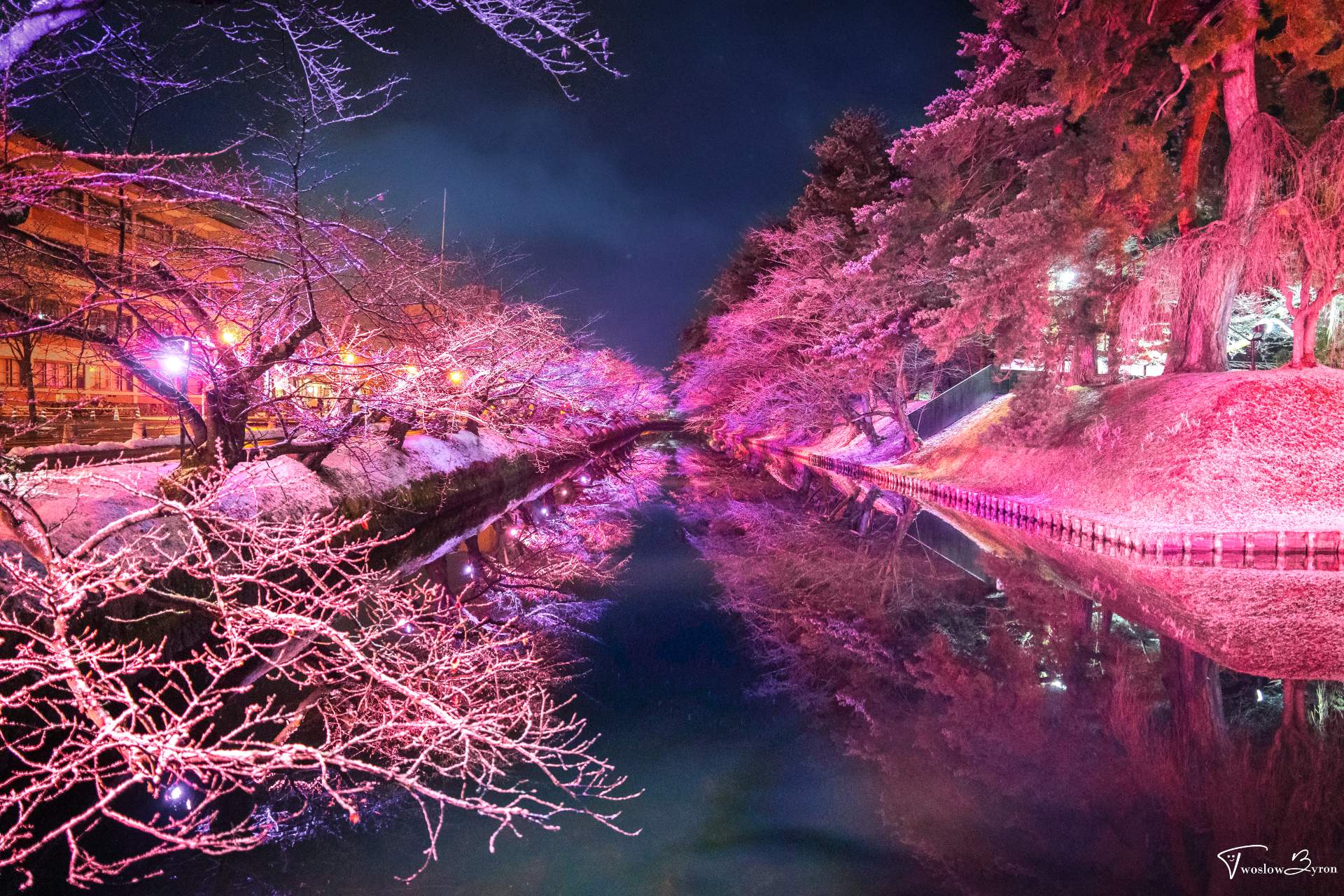 蓝调夜色下弘前公园外濠的冬樱灯光与倒影